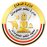 وزارة الدفاع — نظم المعلومات